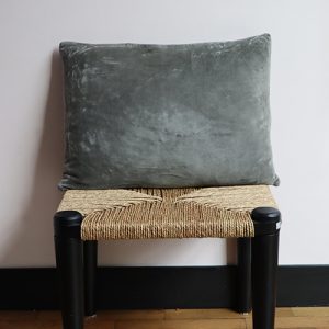 Grey Velvet cushion